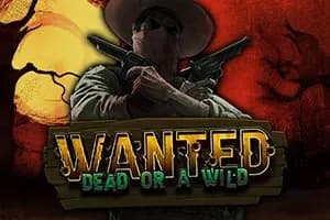 Wanted Dead or a Wild slot game